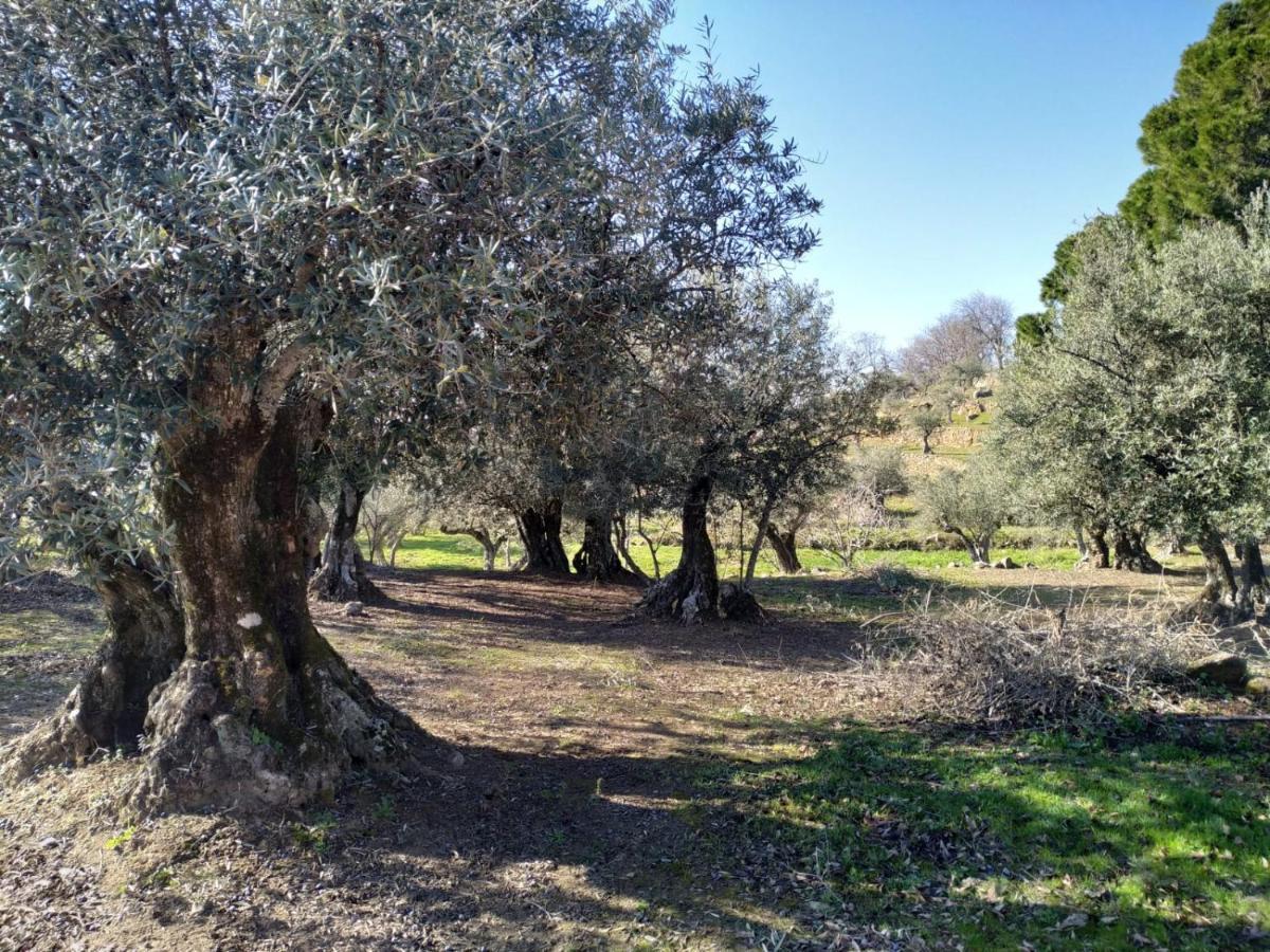 Casa Rural La Picota Valverde de la Vera ภายนอก รูปภาพ